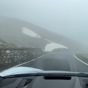 IMG_8781.jpeg